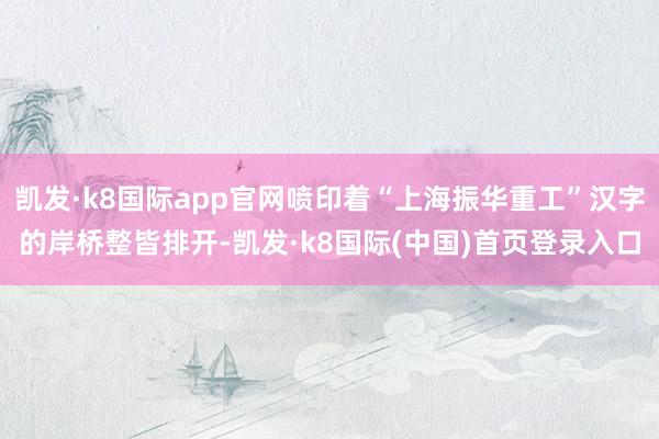 凯发·k8国际app官网喷印着“上海振华重工”汉字的岸桥整皆排开-凯发·k8国际(中国)首页登录入口